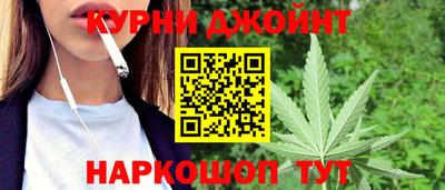 индика Будённовск