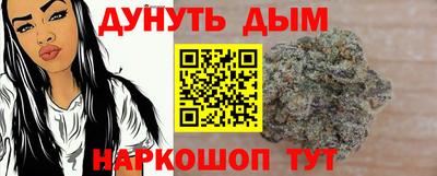 индика Будённовск